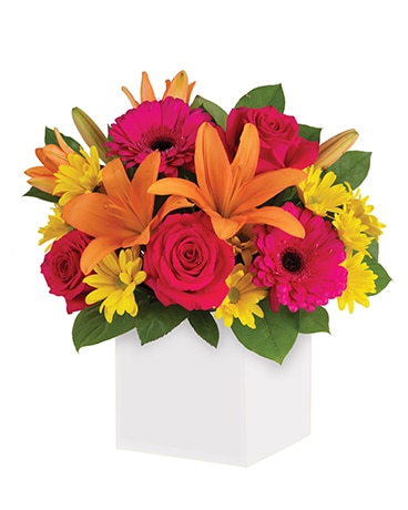 Starburst Splash Flower Arrangement